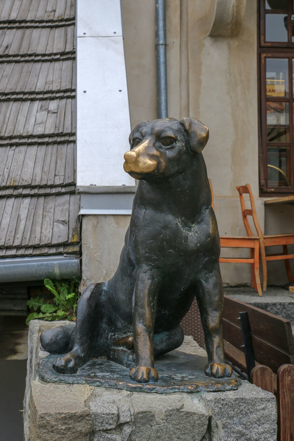 pomnik psa Werniksa - Kazimierz Dolny