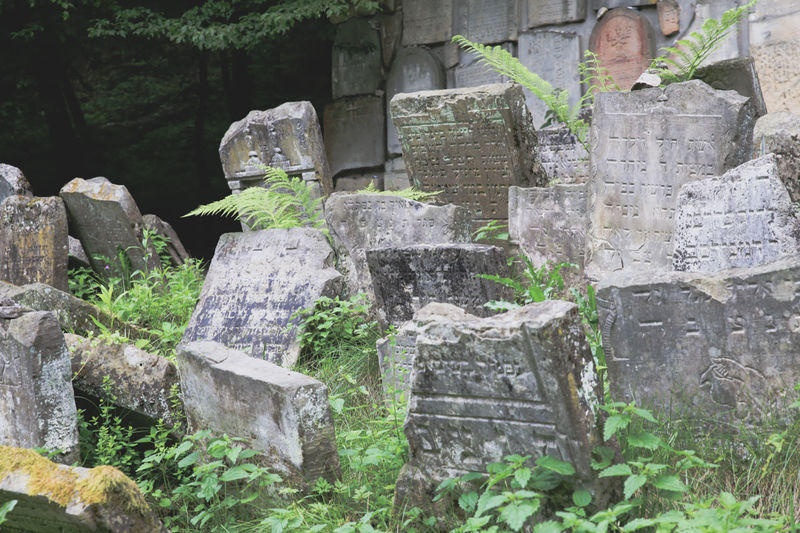 Cmentarz żydowski Kirkut - Kazimierz Dolny