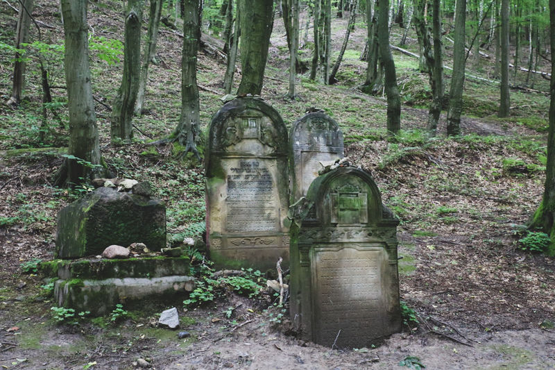 !Cmentarz żydowski Kirkut - Kazimierz Dolny