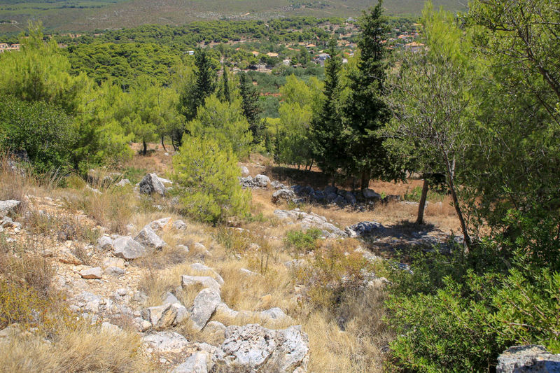 Nekropolia z okresu mykeńskiego - Zakynthos