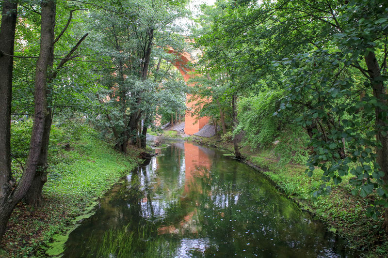 Park Podzamcze w Olsztynie - widok na mosty kolejowe