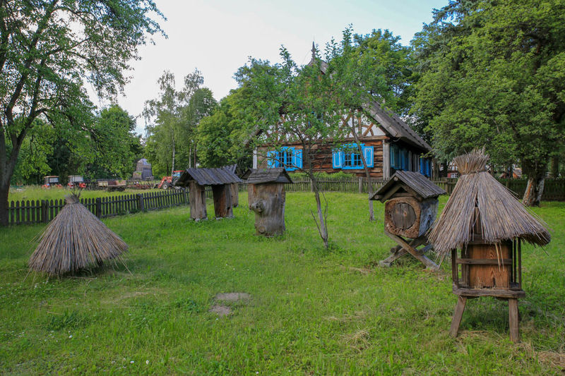 Skansen w Olsztynku (Muzeum Budownictwa Ludowego)