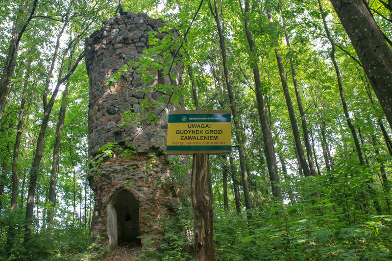 Ruiny wieży Bismarcka na Diablej Górze (okolice Srokowa)