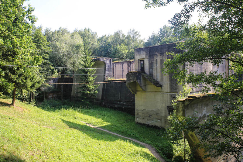 Park linowy Leśniewo Górne