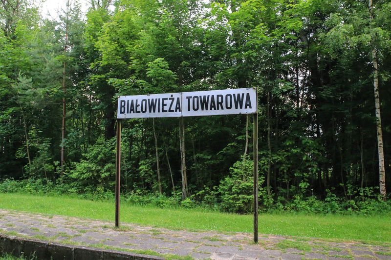 Dworzec Białowieża Towarowa