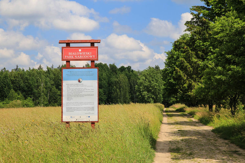 Obręb Ochronny Rezerwat Puszczy Białowieskiej