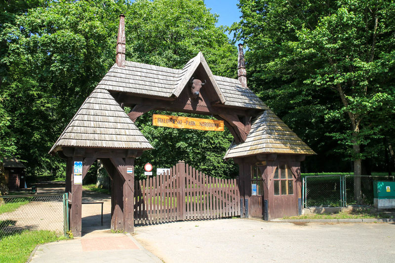 Białowieski Park Narodowy