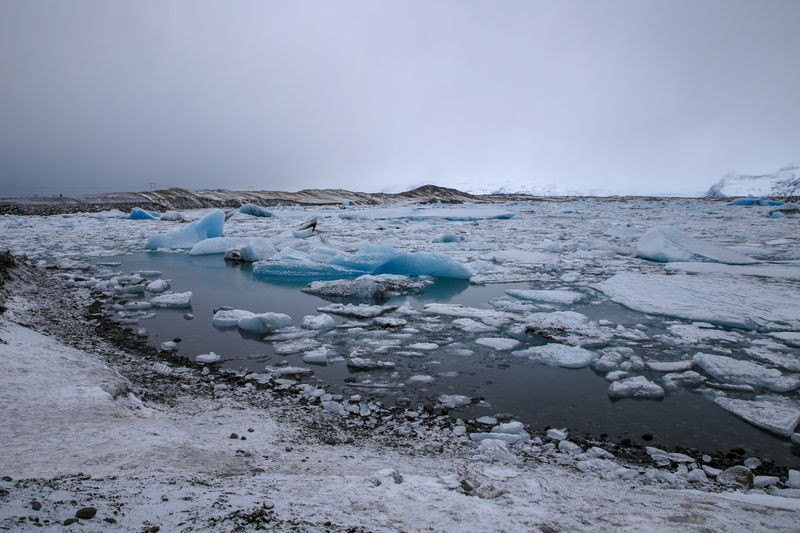 Laguna lodowcowa Jökulsárlón I błękitne kry