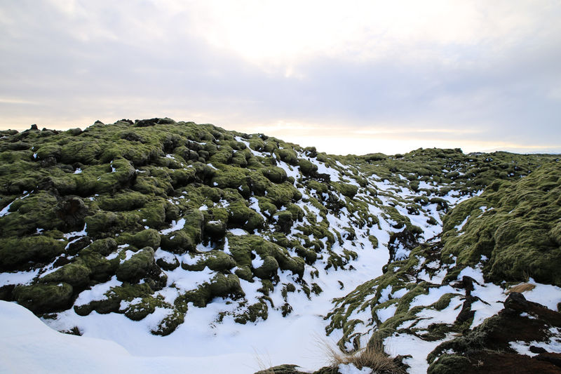 Pole lawy pokryte mchem - Skaftareldahraun w zimowej odsłonie, Islandia