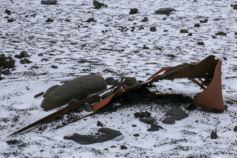 Czarna plaża i pozostałości po brytyjskim statku FV Epine (GY7) - Islandia