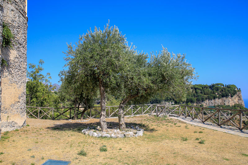 Ruiny Bazyliki św. Eustachego w Pontone, koło Amalfi