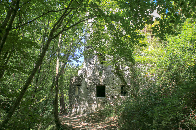 trasa przez Valle delle Ferriere - Amalfi