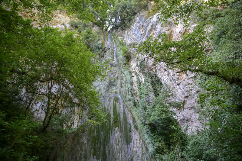 Rezerwat przyrody Valle delle Ferriere - okolice Amalfi