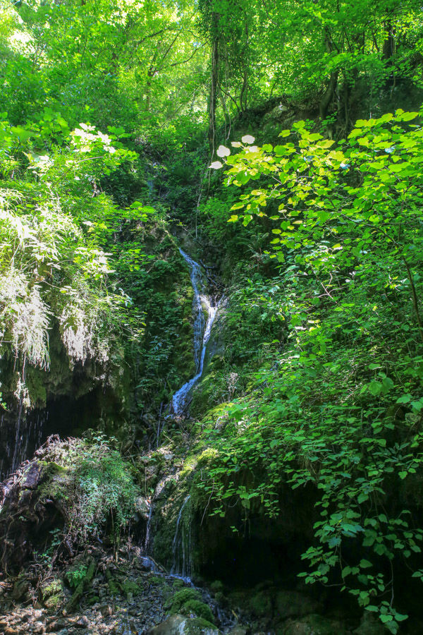 Rezerwat przyrody Valle delle Ferriere - okolice Amalfi
