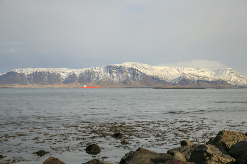 Reykjavik - okolice latarni morskiej Grótta