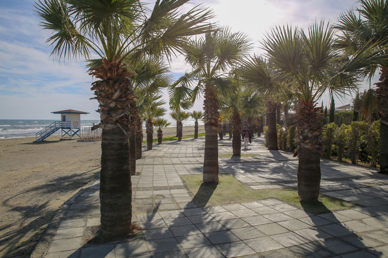 Spacer po plaży w Larnace