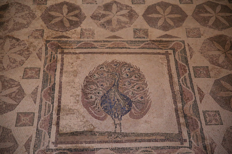 Mozaiki - stanowisko archeologiczne Nea Pafos