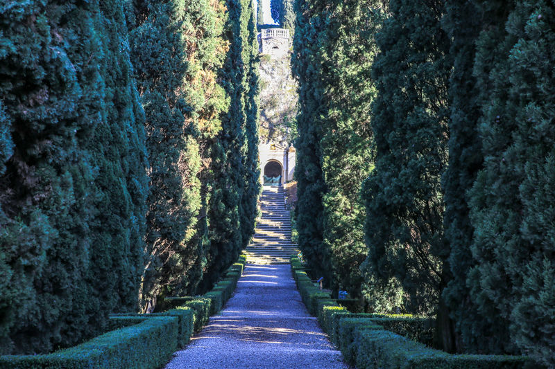 Giardino Giusti - renesansowe ogrody w Weronie