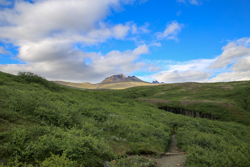 !Park Narodowy Vatnajökull - w drodze powrotnej od wodospadu Svartifoss (Islandia)