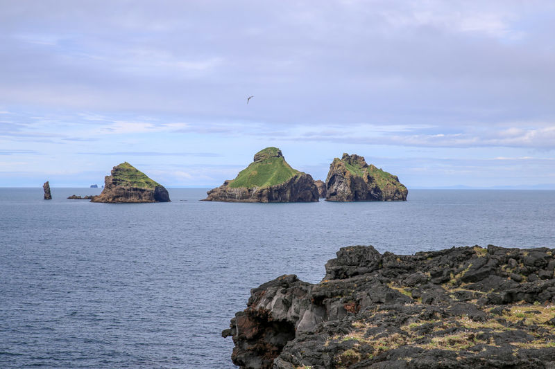 [Wyspa Heimaey (Islandia) - podczas spaceru]