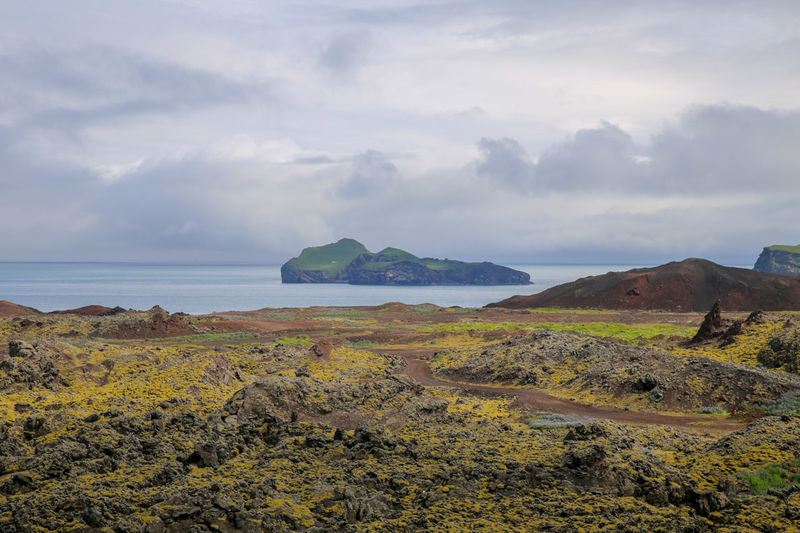 Spacer po wulkanie Eldfell na wyspie Heimaey (Islandia)