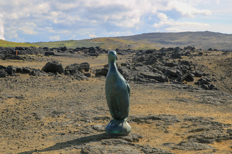Valahnúkamöl i posąg alki morskiej (Islandia, Półwysep Reykjanes)