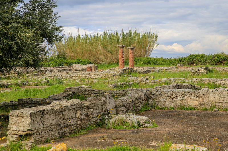 [Paestum - zwiedzanie stanowiska archeologicznego]