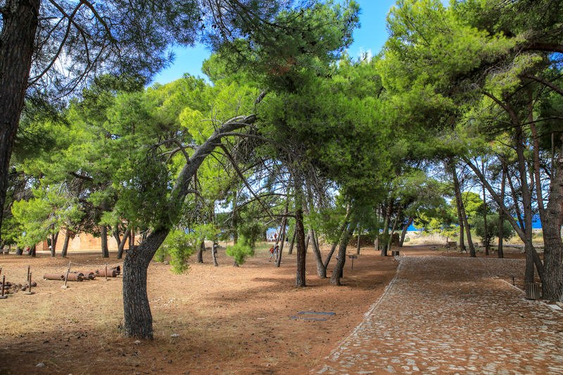 Zamek Niokastro w Pylos (Peloponez, Grecja)