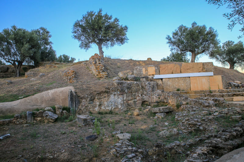 Sparta - zwiedzanie stanowiska archeologicznego (Peloponez, Grecja)