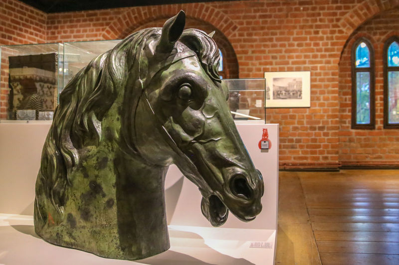 Oryginalna końska głowa w Märkisches Museum