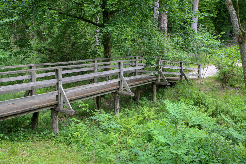 Leśne Arboretum Warmii i Mazur - okolice Olsztyna