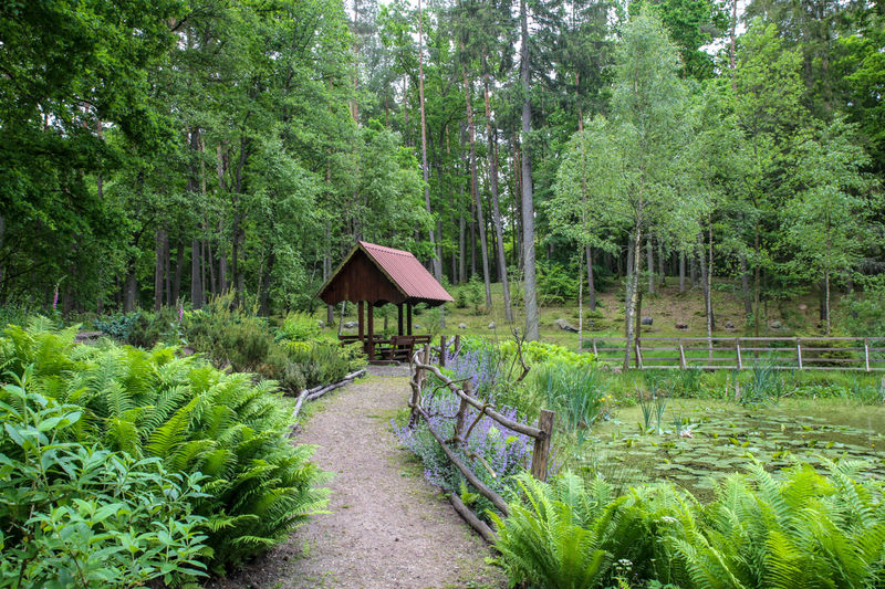 Leśne Arboretum Warmii i Mazur - okolice Olsztyna