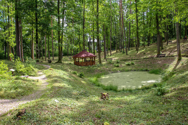 Leśne Arboretum Warmii i Mazur - okolice Olsztyna