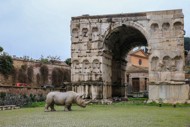 Łuk Janusa - jedyny zachowany łuk czteroarkadowy w Rzymie