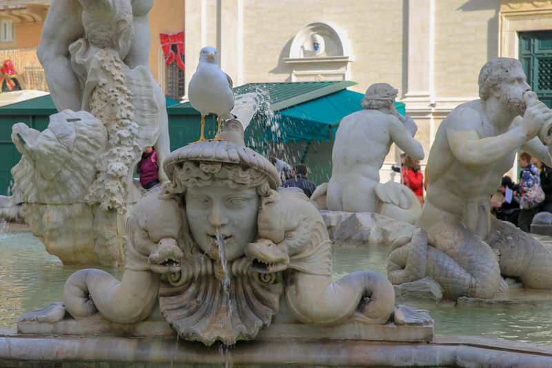 Fontanna Maura - Piazza Navona w Rzymie (fontana del Moro)