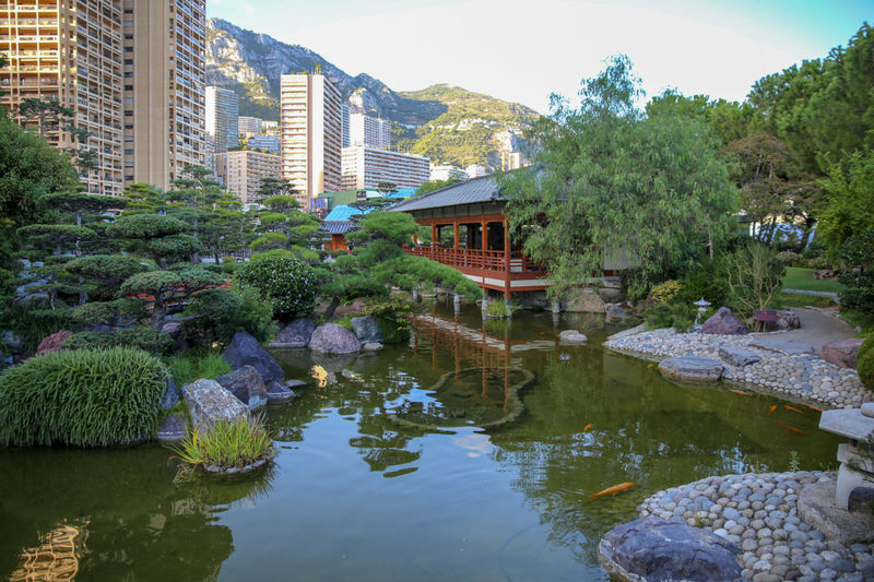 !Ogród Japoński w Monako - Jardin Japonais Princesse Grace