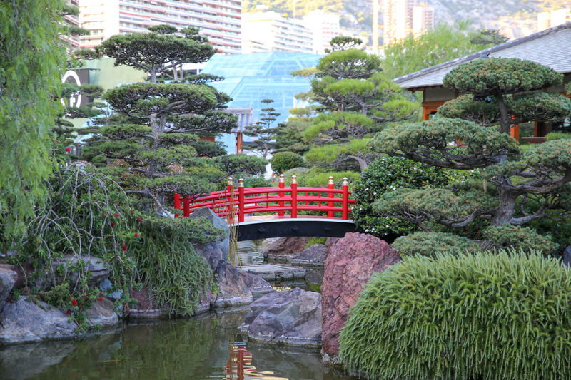 Ogród Japoński w Monako - Jardin Japonais Princesse Grace
