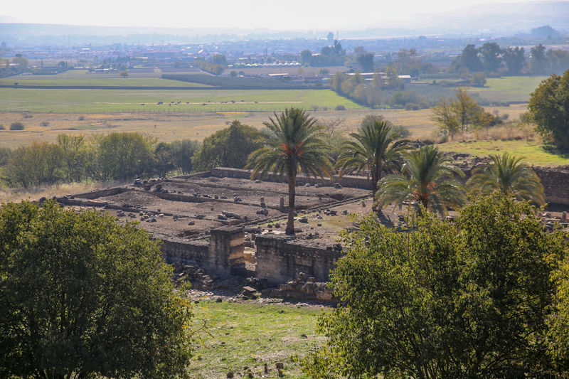 Medina Azahara w Kordobie: zwiedzanie ruin miasta kalifów