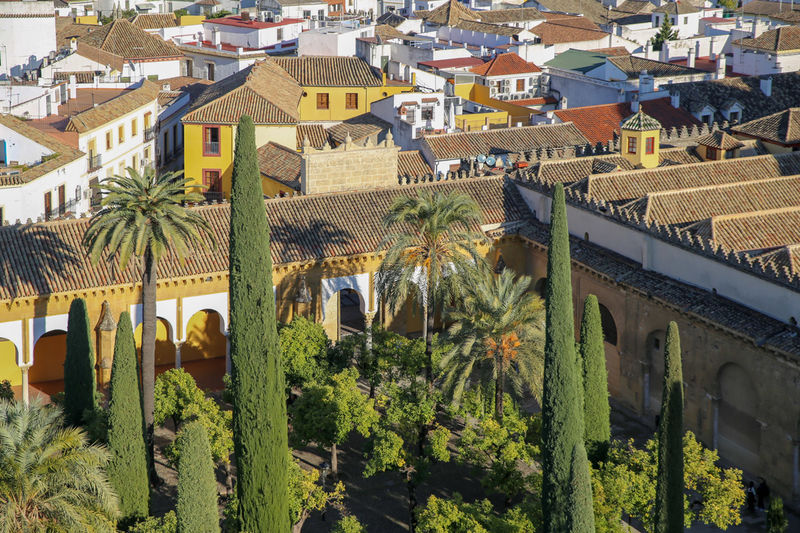 Widok z dzwonnicy Wielkiego Meczetu w Kordobie