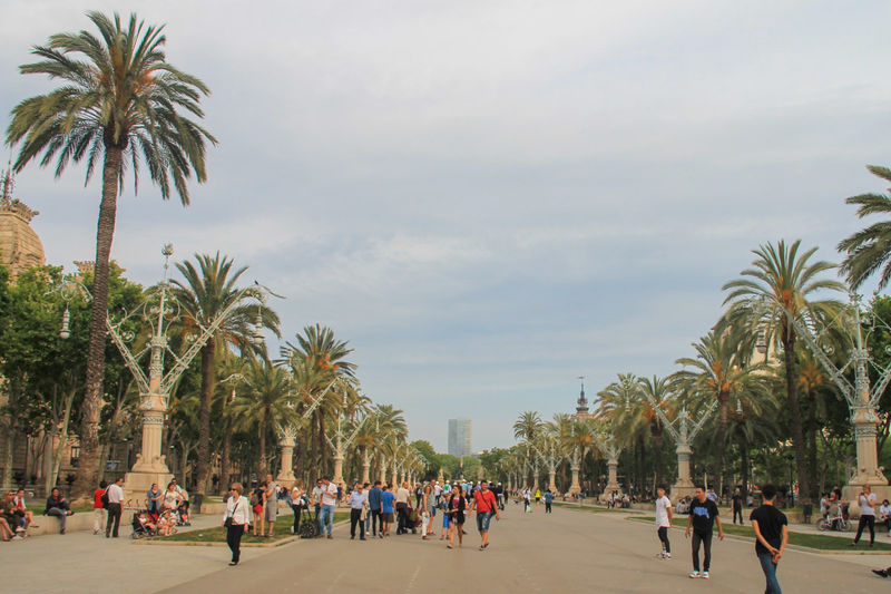 Barcelona Promenade Passeig de Lluis Companys