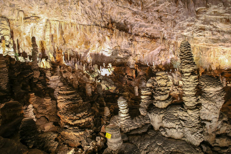Grotta Gigante - zwiedzanie jaskini w okolicy Triestu