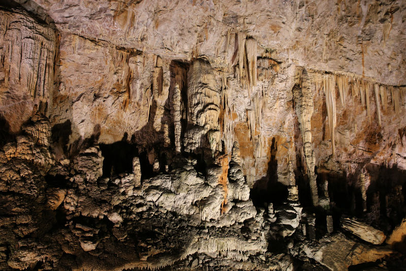 Grotta Gigante - zwiedzanie jaskini w okolicy Triestu